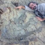 From Sucre | Maragua Crater and Dinosaur Footprints | 1 Day - An In-Depth Look at the Tour Experience