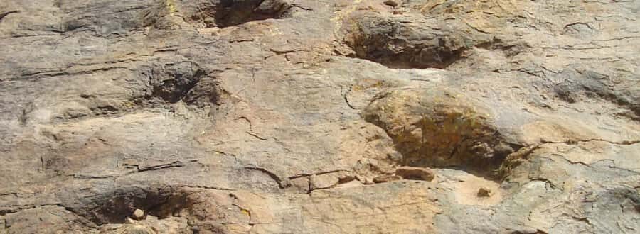 From Sucre | Maragua Crater and Dinosaur Footprints | 1 Day - Exploring Bolivias Hidden Gems: A Detailed Review