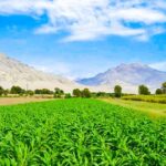 From Trujillo: Complete full day tour with museums - A Deep Dive into the Experience