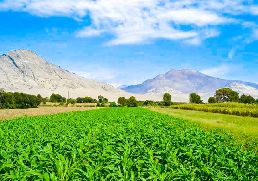 From Trujillo: Complete full day tour with museums - A Deep Dive into the Experience