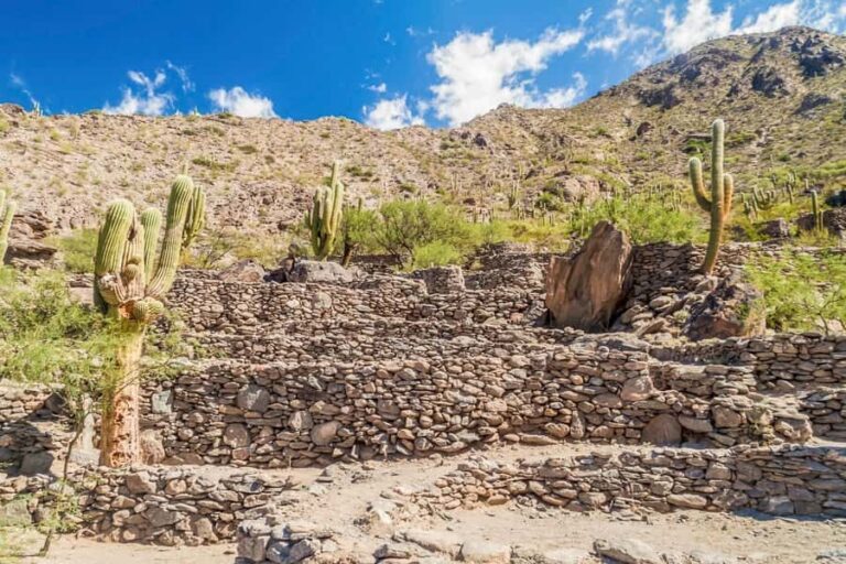 From Tucumán: Tafí del Valle, Quilmes Ruins and Cafayate - A Deep Dive into the Tucumán Tour Experience