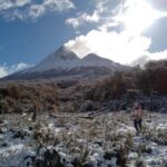 From Ushuaia: Tierra del Fuego Emerald Lagoon Trekking Tour - Authentic Insights from Travelers
