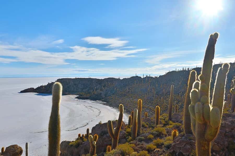 From Uyuni: 3-Day Salt Flats and Lagoons Tour with - What We Think About the Value