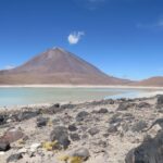 From Uyuni: Private Day trip Laguna Colorada. - Exploring Bolivia’s Laguna Colorada: A Deep Dive