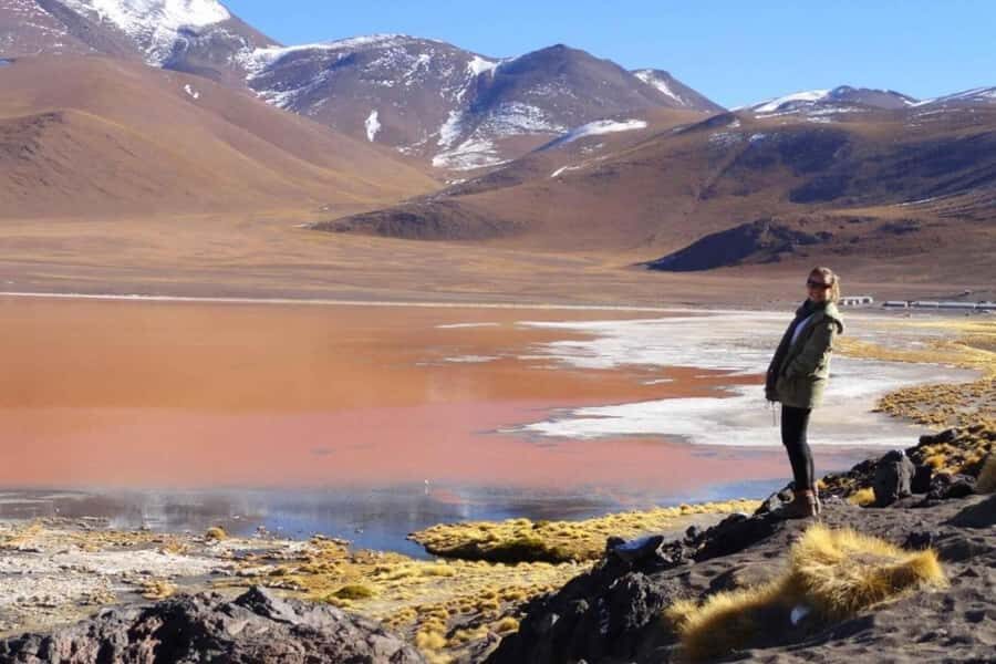 From Uyuni:Laguna Colorada and Salar de Uyuni 3 Days + Meals - Exploring Bolivia’s Salt and Volcano Landscape in Depth