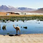 From:San Pedro de Atacama / Salar Route - Transportation and Logistics