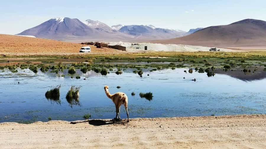 From:San Pedro de Atacama / Salar Route - Transportation and Logistics