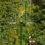 Full Adventure Adrenaline Nature Zipline Buggy and Horse - What Travelers Are Saying