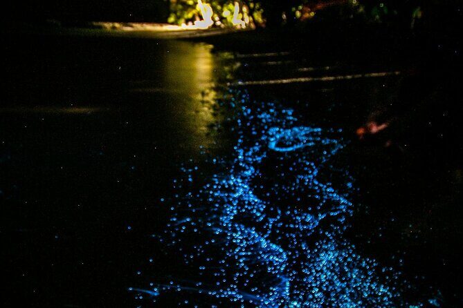 Full Clear Kayak Bioluminescent Experience Vieques, Puerto Rico