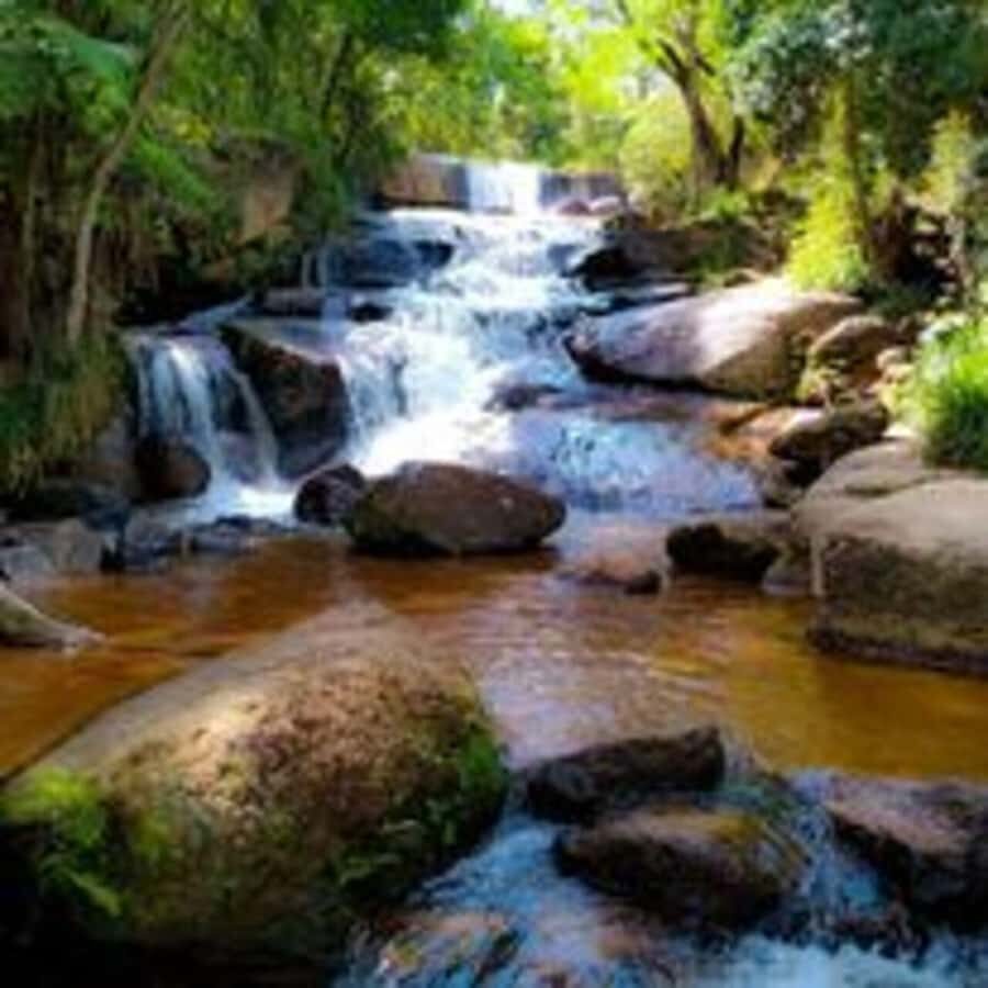 FULL-DAY 4X4 OFF-ROAD ADVENTURE FROM SÃO PAULO - Why Choose This Tour?