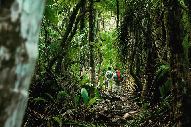 Full-Day Adventure in Corcovado National Park from Drake Bay - Authenticity and Value for Money