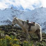 Full-Day Adventure to Humantay Lagoon - What’s Included and What’s Not