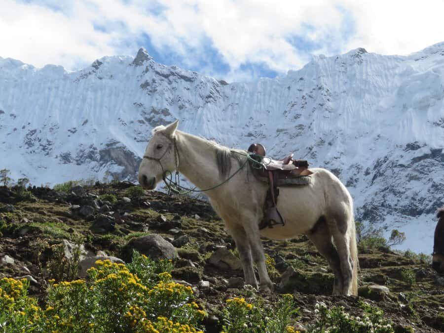 Full-Day Adventure to Humantay Lagoon - What’s Included and What’s Not