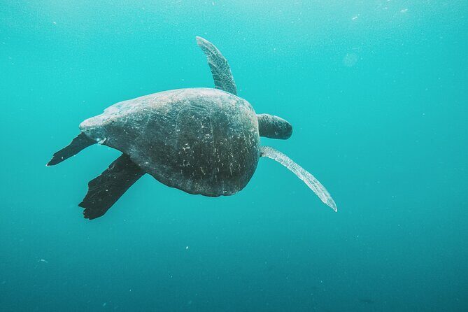 Full-day Adventure Tour at Kicker Rock (León Dormido) - Final Thoughts