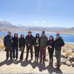 Full day Altiplanic Lagoons, Piedras Rojas and Chaxa Lagoon - Why This Tour Offers Good Value