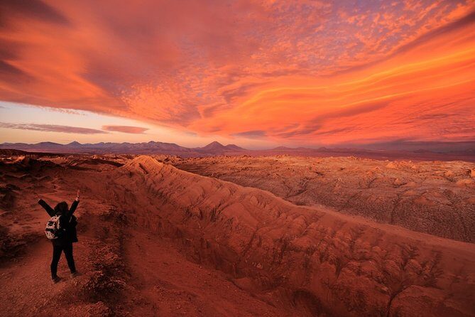 Full day Altiplanic Lagoons + Red stones viewpoint + Salar de Atacama - Why This Tour Offers Great Value