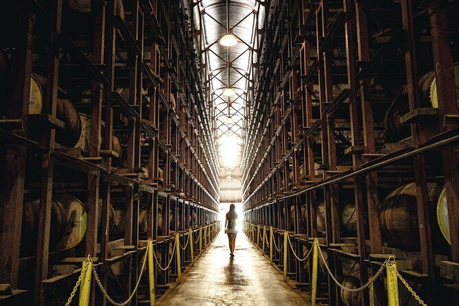 Full-Day Appleton Rum, YS Falls and Pelican Bar Private Tour