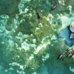 Full Day Appleton Rum YS Falls & Pelican Bar Group Tour - Who Should Consider This Tour?