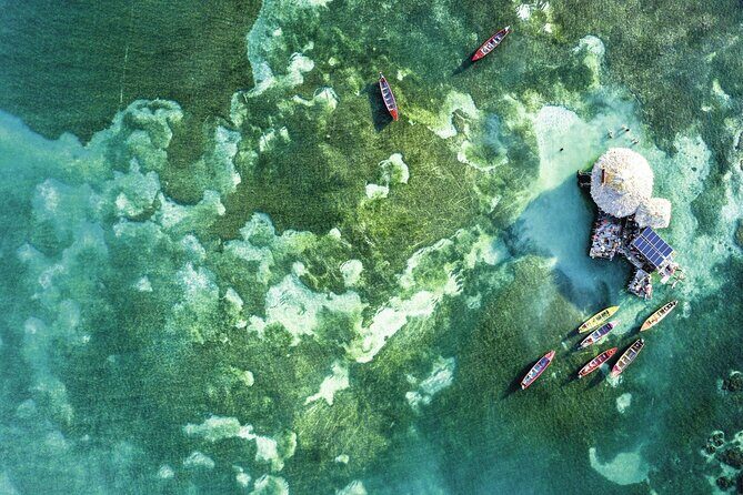 Full Day Appleton Rum YS Falls & Pelican Bar Group Tour - Who Should Consider This Tour?