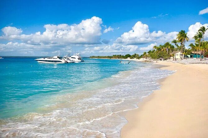 Full-day at Catalina Island from Santo Domingo with optional snorkeling included - Who Will Love This Tour?