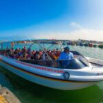 Full Day | Ballestas Islands - Transport, Pricing, and Practical Tips