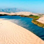 Full Day Ballestas Islands and the Paracas National Reserve - Detailed Review of the Tour Experience