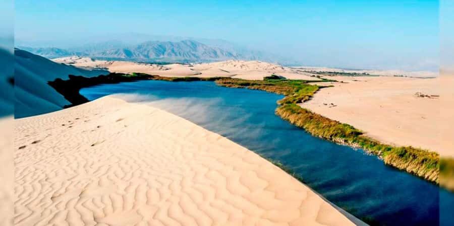 Full Day Ballestas Islands and the Paracas National Reserve - Detailed Review of the Tour Experience