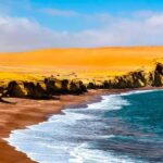 Full Day Ballestas Islands  Paracas National Reserve - Final Thoughts: Who Will Benefit Most?