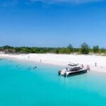Full Day Beach BBQ Lunch & Snorkeling Excursion in Grace Bay - A Deep Dive into the Full Day Beach BBQ & Snorkeling Tour