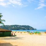 Full Day Beach Tour Santos & Guarujá: Culture & Beaches - Who Is This Tour Best For?