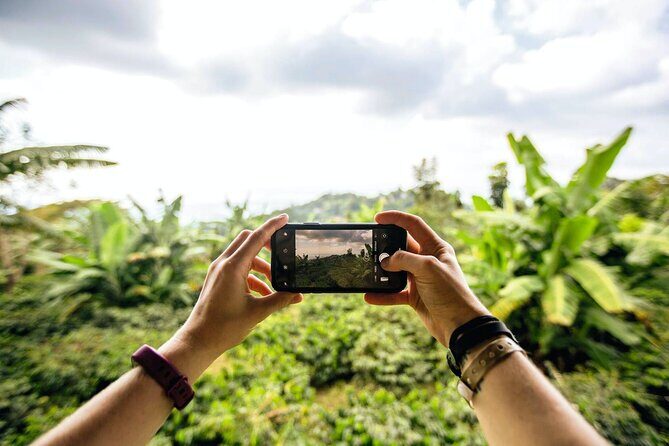 Full Day Blue Mountains Tour including Lunch