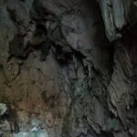 Full-Day Boat Tour of Los Haitises National Park - Frequently Asked Questions