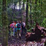 Full-Day Brownsberg Nature Park Tour - Considering the Cost and Value