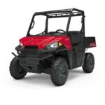 Full Day Buggy Rental in Nassau - The Sum Up: The Best of Nassau on Your Terms