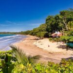Full Day Cahuita Snorkel And Sloth Sanctuary from Puerto Viejo de Limón - Itinerary Breakdown