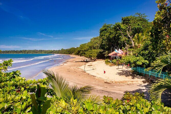Full Day Cahuita Snorkel And Sloth Sanctuary from Puerto Viejo de Limón - Itinerary Breakdown