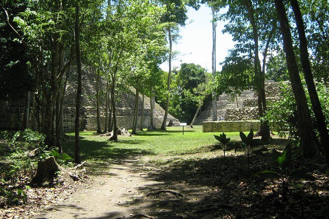 Full-Day Caracol Maya Temple and Pine Ridge Forest Reserve - The Majestic Maya Ruins of Caracol