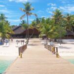 Full Day Catalina Island and Cap Cana Snorkel Tour - Is This Tour Worth Your Money?