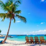 Full-Day Catalina Island Snorkeling Excursion from Punta Cana - Final Thoughts: Why This Tour is a Great Value