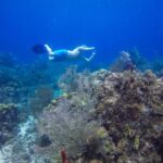 Full-Day Catalina Island Snorkeling Tour from Bavaro - Authentic Feedback from Travelers
