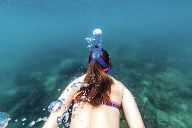 Full-Day Catamaran Snorkeling Tour with Lunch from Puerto Plata