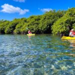 Full Day Clear Kayak Rental Grand Turk - Itinerary Breakdown