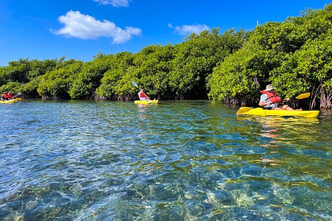 Full Day Clear Kayak Rental Grand Turk - Itinerary Breakdown