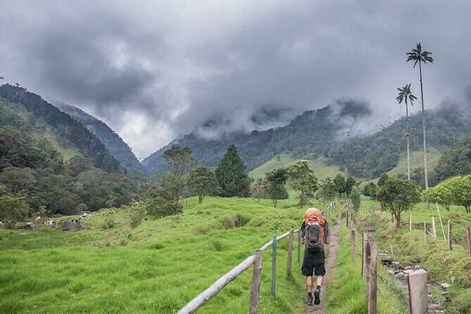 Full Day Climbing The Cocora Valley with Lunch - FAQs