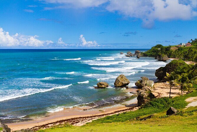 Full Day Coast to Coast Private Tour in Barbados - The Overall Experience and What Travelers Can Expect