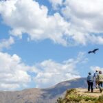 Full-Day Condor Viewpoint & Inca Sites Tour - The Practicalities and Value