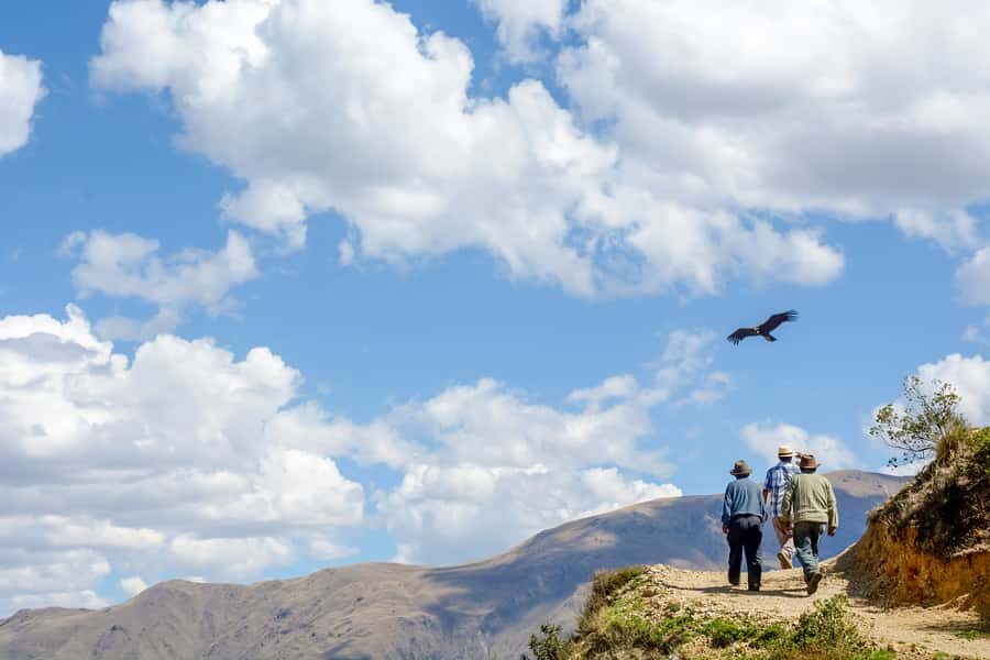 Full-Day Condor Viewpoint & Inca Sites Tour - The Practicalities and Value