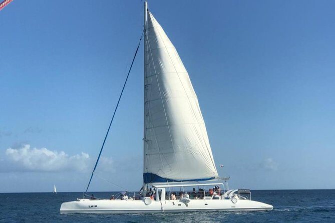 Full-Day Cruise to Saona Island - Natural Pool and Lunch - Who Will Love This Tour?