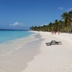 Full-Day Cruise to Saona Island - Natural Pool and Lunch - The Transport: From Hotel to Island and Back