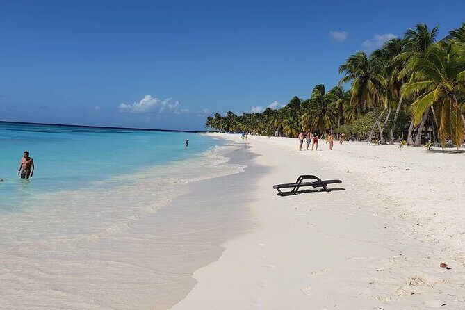 Full-Day Cruise to Saona Island - Natural Pool and Lunch - The Transport: From Hotel to Island and Back